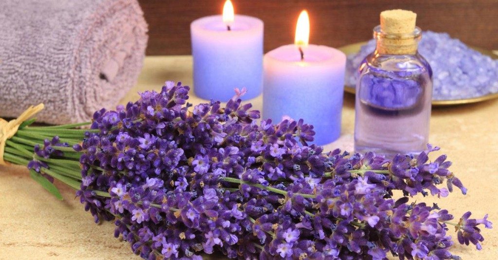Lavender Picture 1 1024x535 1024x535