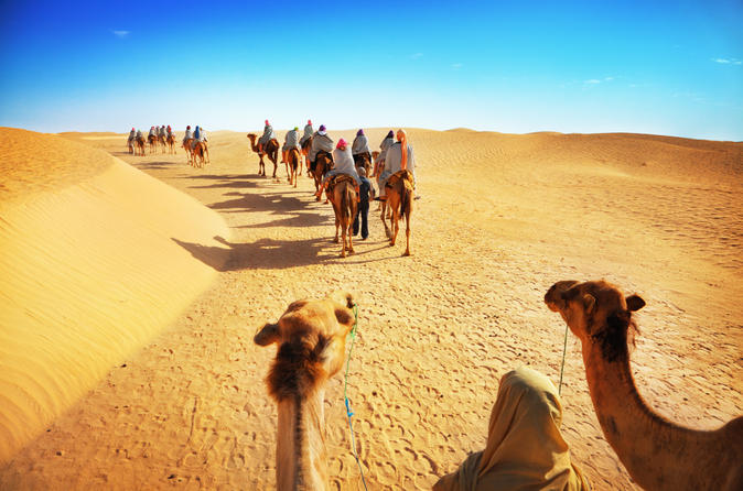 desert experience camel safari with dinner and emirati activities in dubai 154755